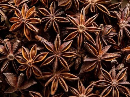 Bulk Star Anise Whole Organic 2oz For Sale