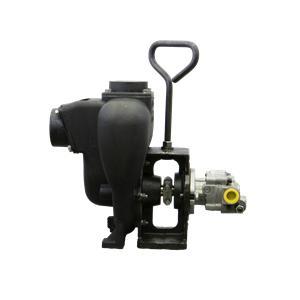 Banjo 200PIHY - 2  Cast Iron Pump with 12 HP Hydraulic Motor Sale