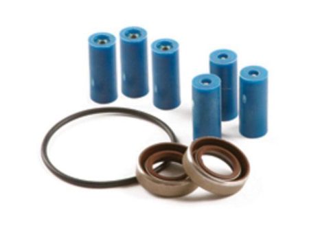 Hypro 3430-0381 Roller Pump Repair Kit Online