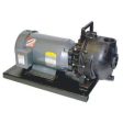 Banjo 234PPE51V - 2  Poly Pump with 5.0 HP Single Phase Electric Motor & FKM (viton type) Elastomers Online Sale