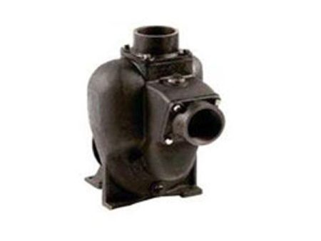 Hypro Cast Iron Pedestal-Mount Transfer Pump Head Kit - KIT ONLY Online Hot Sale