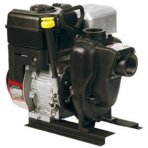 Banjo 200PI6PRO - 2  Cast Iron Pump with 6.5 HP Briggs & Stratton Engine Pro Series For Cheap