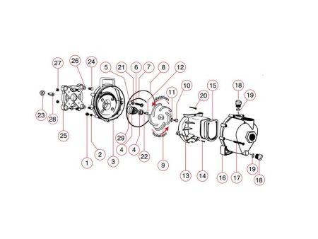 Banjo 12754V - FKM (viton type) O-Ring Segment Online